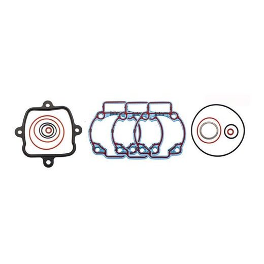 Set tesnil motorja RMS 100684031