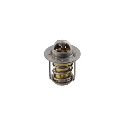 Thermostat RMS 100120790