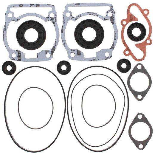 Complete Gasket Kit with Oil Seals WINDEROSA 711163A