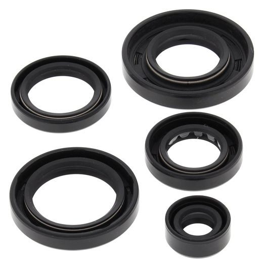Engine Oil Seal Kit WINDEROSA 822343