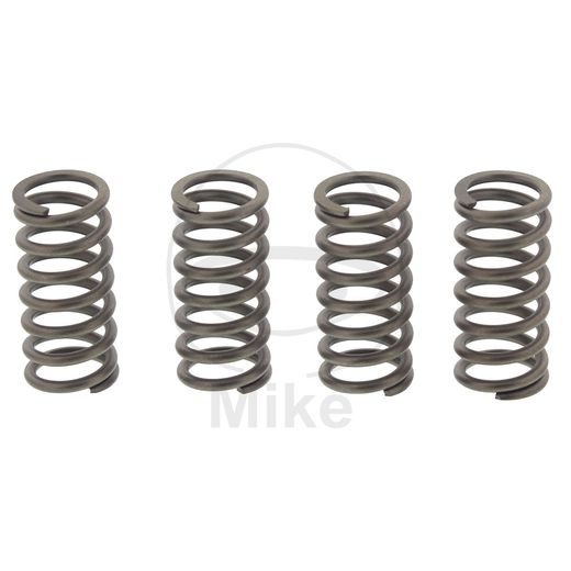 Clutch spring kit EBC CSK193 4
