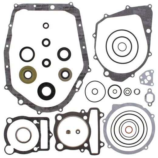 Complete Gasket Kit with Oil Seals WINDEROSA 811813