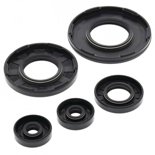 Engine Oil Seal Kit WINDEROSA 55105