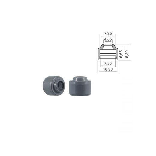 Engine valve oil seals RMS 100669330