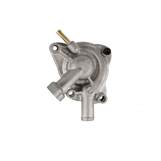 Complete water pump RMS 100110680
