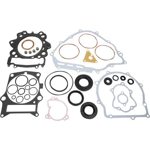 Complete gasket kit WINDEROSA 8110049 with seals