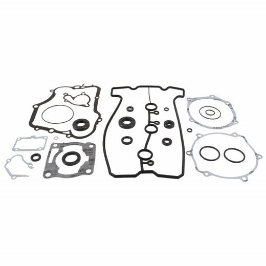 Complete Gasket Kit with Oil Seals WINDEROSA 8110008