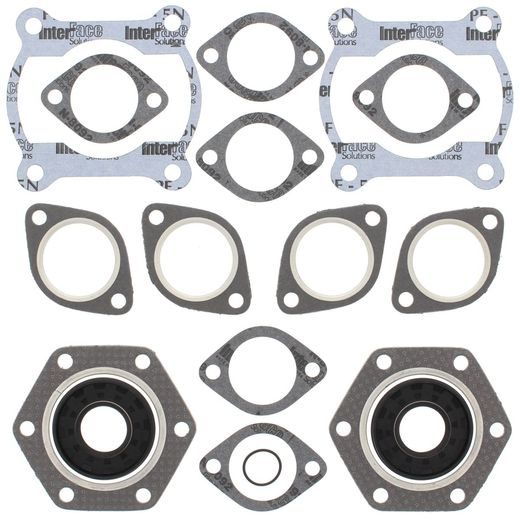 Complete Gasket Kit with Oil Seals WINDEROSA 711110A