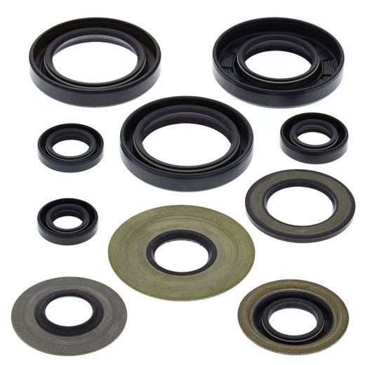 Engine Oil Seal Kit WINDEROSA 822279