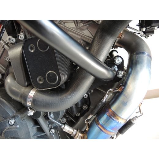 Engine guards RDMOTO CF82KD matt black