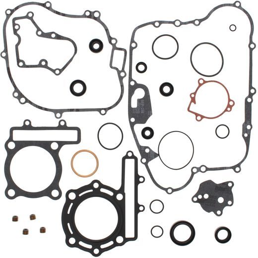 Complete Gasket Kit with Oil Seals WINDEROSA 811804
