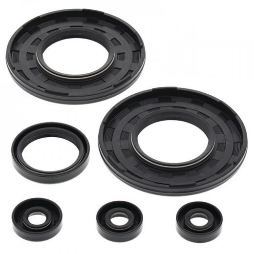 Engine Oil Seal Kit WINDEROSA 55181