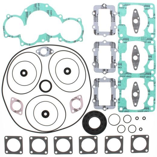Complete Gasket Kit with Oil Seals WINDEROSA 711198