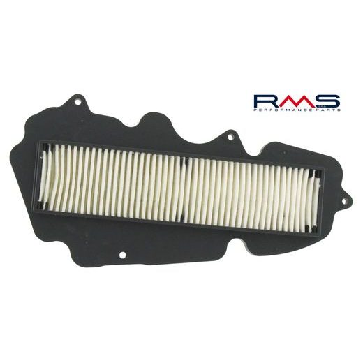 Zračni filter RMS 100602820