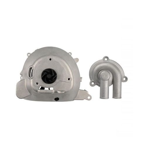 Complete water pump RMS 100110600