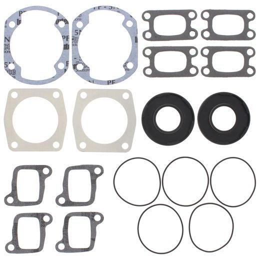 Complete Gasket Kit with Oil Seals WINDEROSA 711023C
