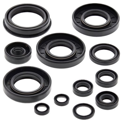 Engine Oil Seal Kit WINDEROSA 822252