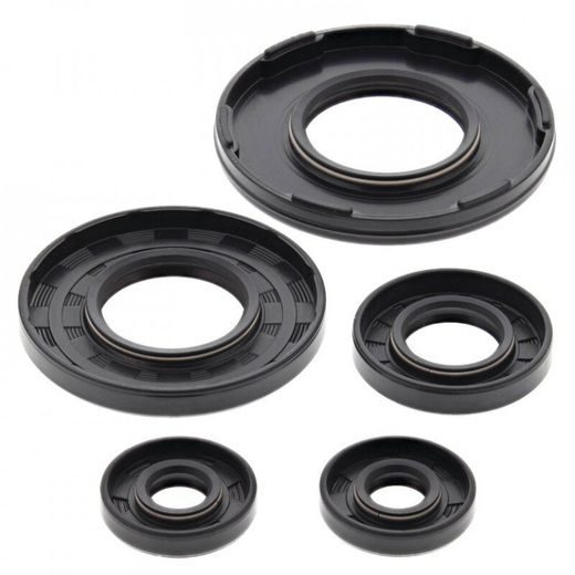 Engine Oil Seal Kit WINDEROSA 55233