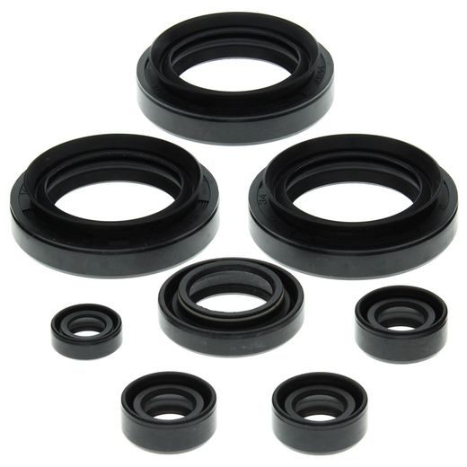 Engine Oil Seal Kit WINDEROSA 822151