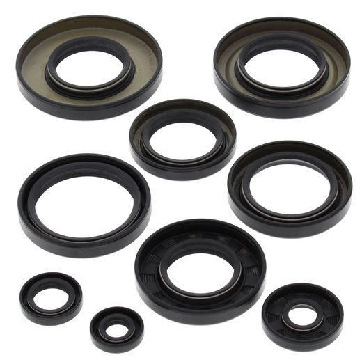 Engine Oil Seal Kit WINDEROSA 822247