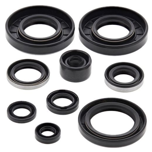 Engine Oil Seal Kit WINDEROSA 822292