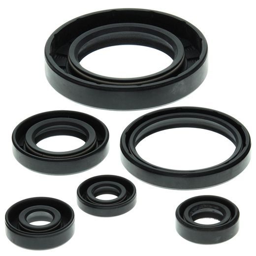 Engine Oil Seal Kit WINDEROSA 822204