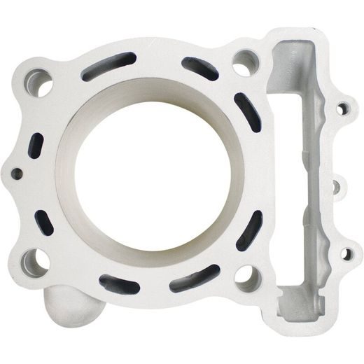 Standard Bore Cylinder Kit CYLINDER WORKS CW30017K01