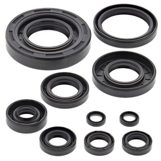 Engine Oil Seal Kit WINDEROSA 822304