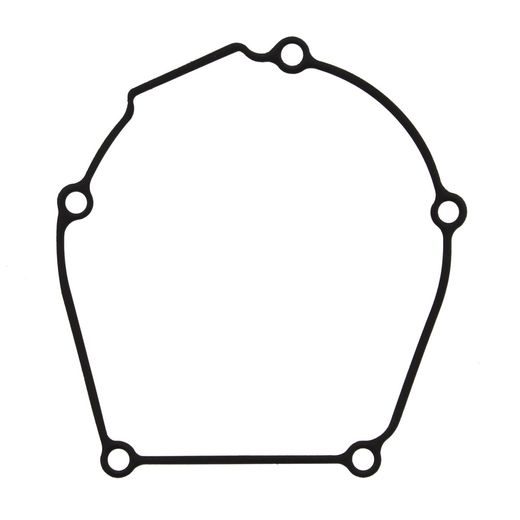 Ignition cover gasket WINDEROSA 816632