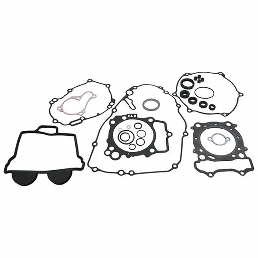 Complete Gasket Kit with Oil Seals WINDEROSA 8110029