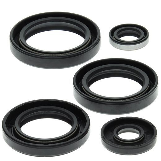 Engine Oil Seal Kit WINDEROSA 822213