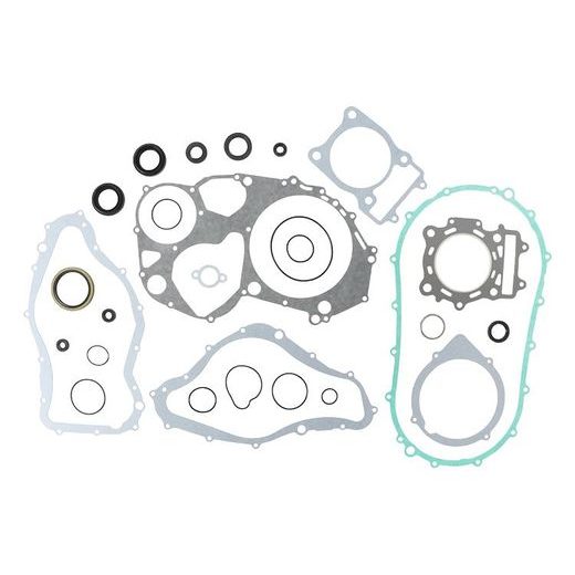 Complete Gasket Kit with Oil Seals WINDEROSA 811839