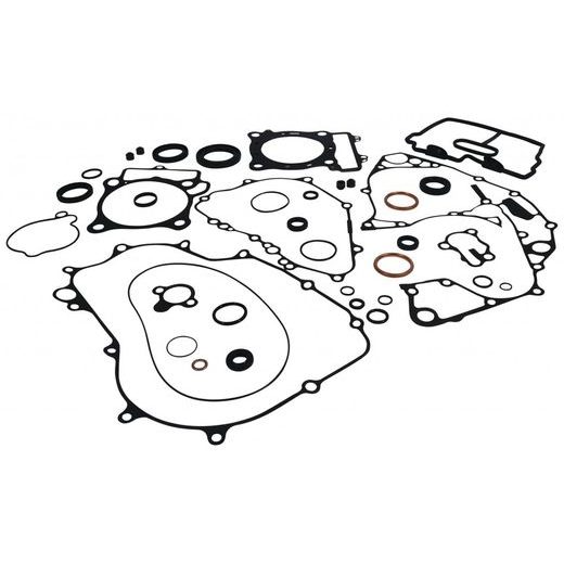 Complete Gasket Kit with Oil Seals WINDEROSA 8110030