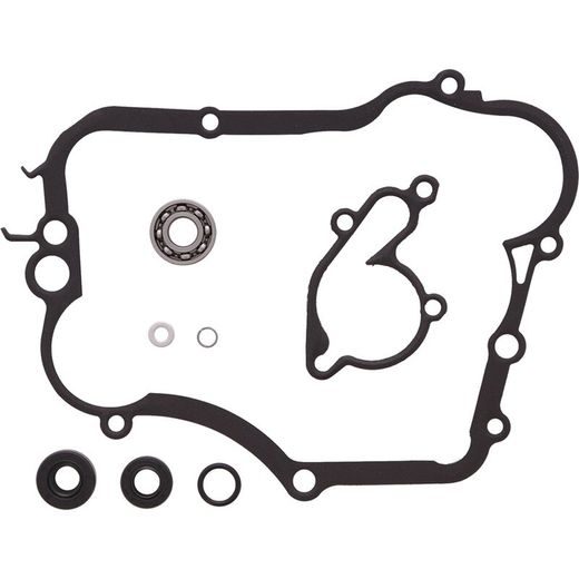 Water Pump Rebuild Kit WINDEROSA 8210008
