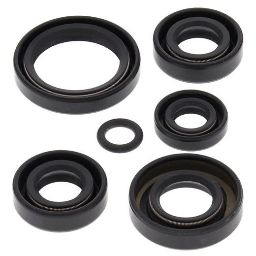 Engine Oil Seal Kit WINDEROSA 822242