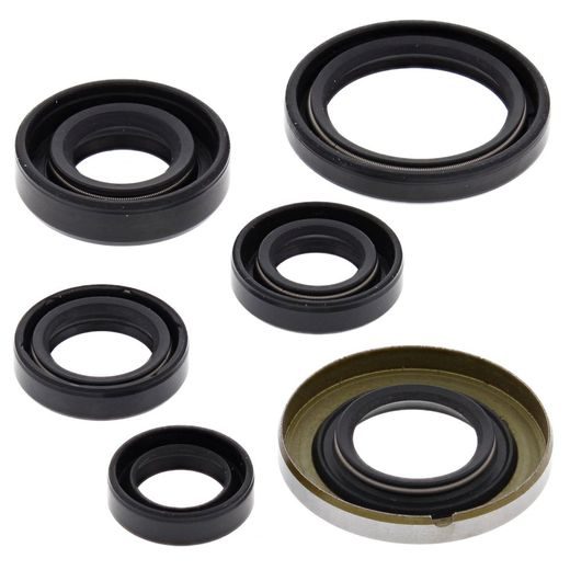 Engine Oil Seal Kit WINDEROSA 822278