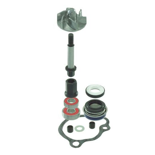 Set za vodno črpalko RMS 100110480