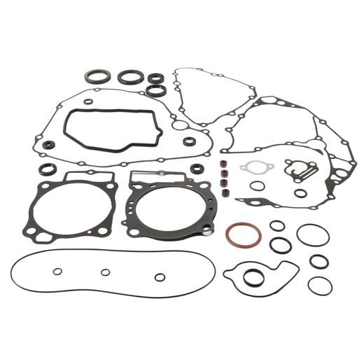 Complete Gasket Kit with Oil Seals WINDEROSA 8110012