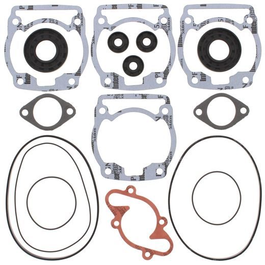 Complete Gasket Kit with Oil Seals WINDEROSA 711163X