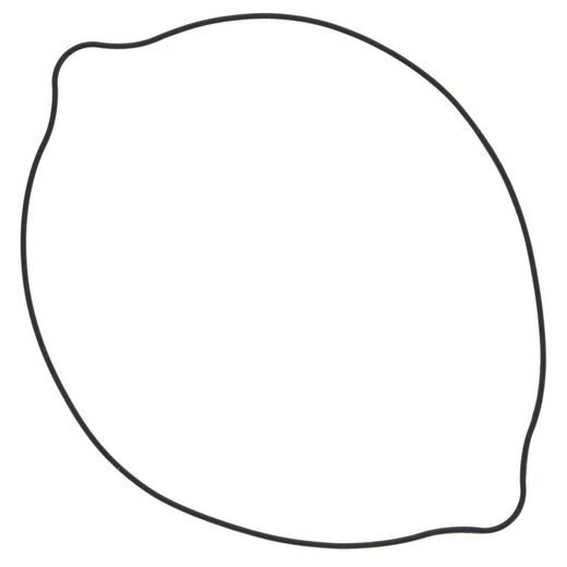 Tesnilo sklopke (Clutch cover gasket) WINDEROSA 817521 outer side