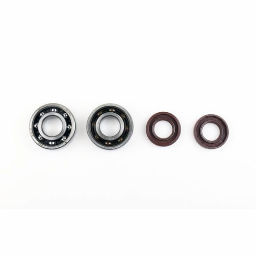 Ležaji in tesnila za glavno gred (Crankshaft rebuilding kit) ATHENA P400105444050