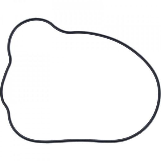 Ignition Cover Gasket WINDEROSA 819230