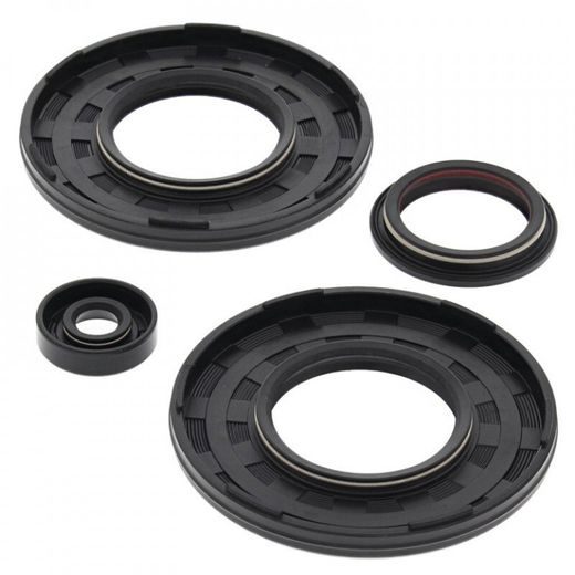 Engine Oil Seal Kit WINDEROSA 55206
