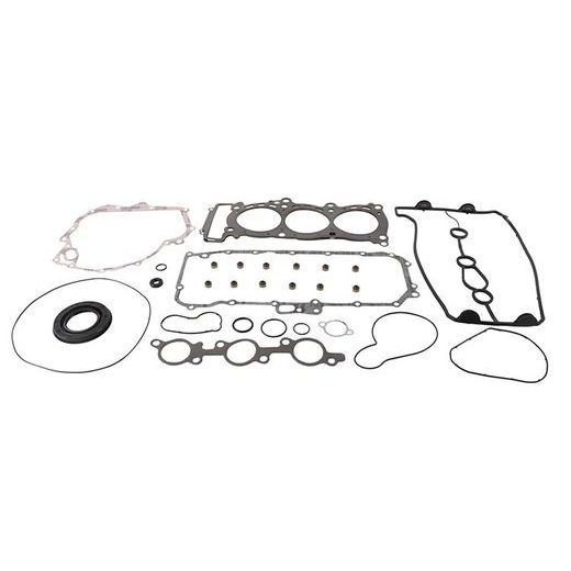 Complete Gasket Kit with Oil Seals WINDEROSA 711317