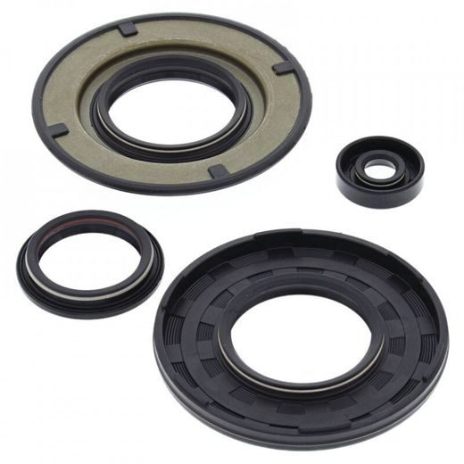 Engine Oil Seal Kit WINDEROSA 55204