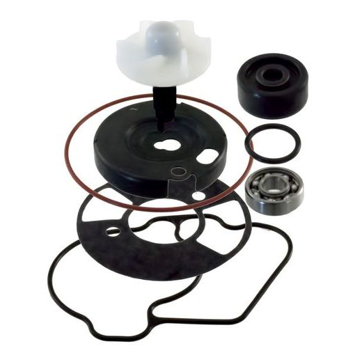 Set za vodno črpalko RMS 100110540