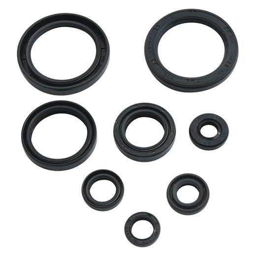 Engine Oil Seal Kit WINDEROSA 822378