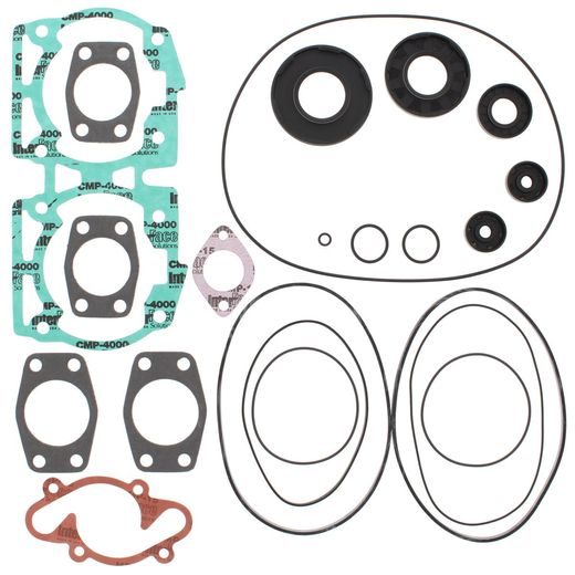 Complete Gasket Kit with Oil Seals WINDEROSA 711165D
