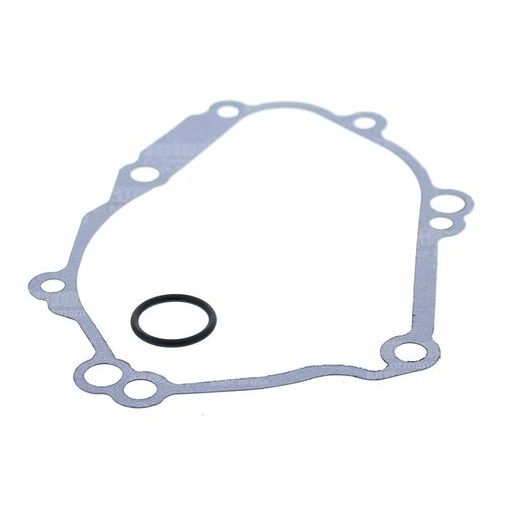 Ignition cover gasket WINDEROSA 331036