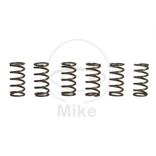 Clutch spring kit EBC CSK165 6